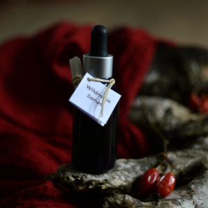 Ölserum Wildrose - Kameliensamenöl